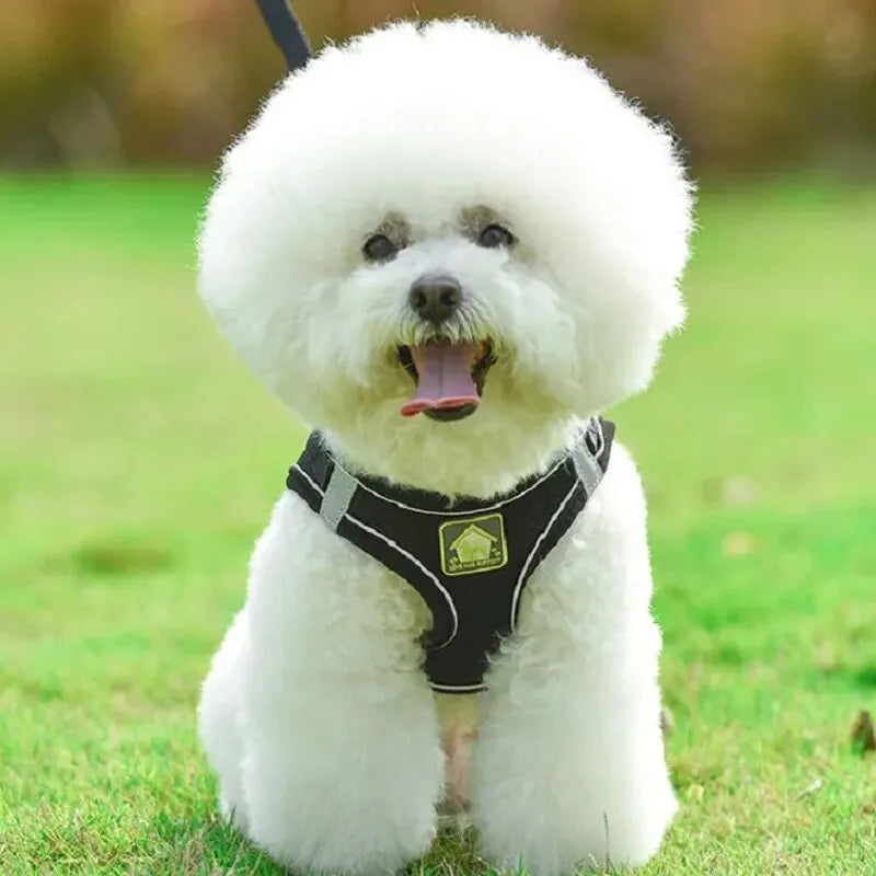 Reflective Pet Harness And Leash Set For Dog & Cat