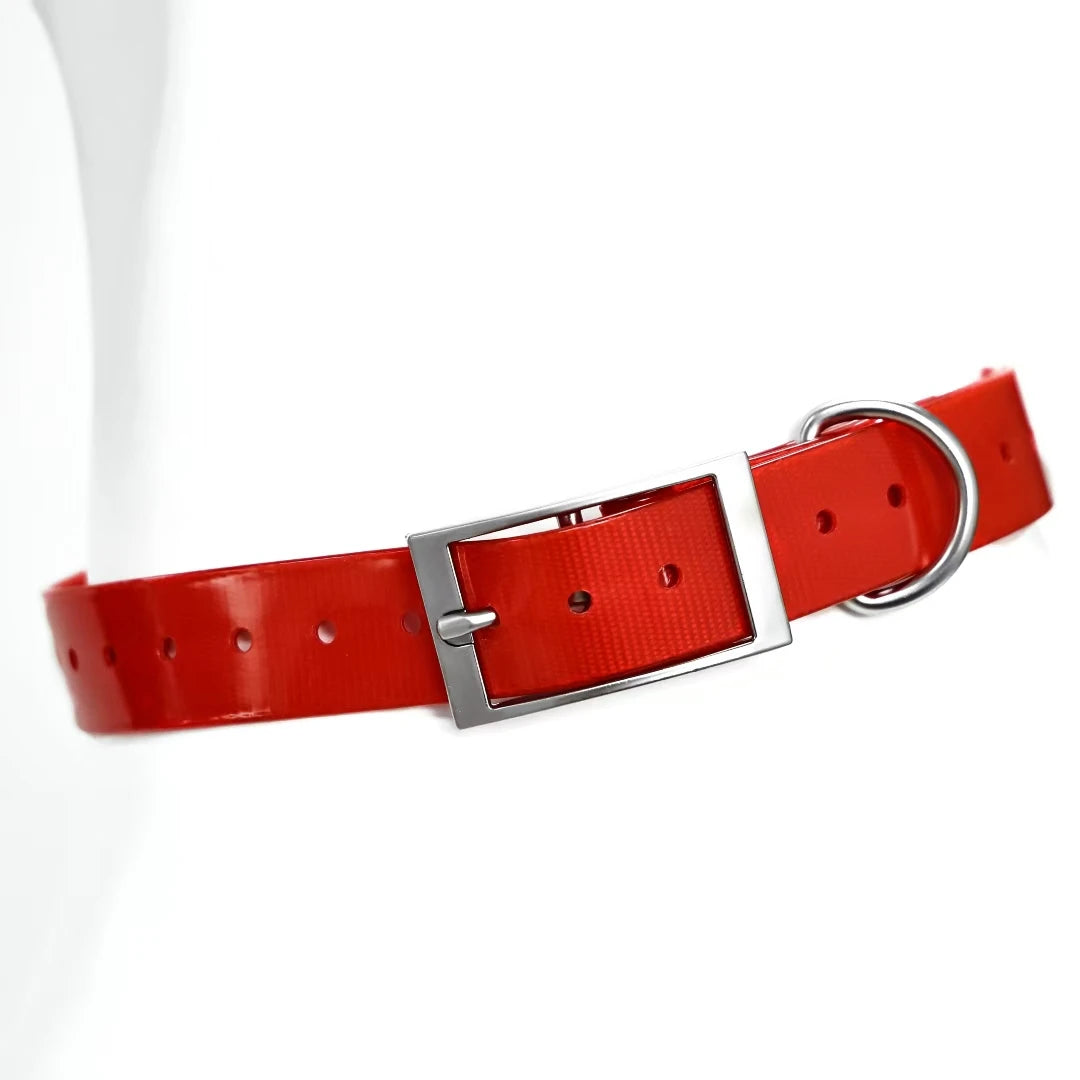 2.5cm Wide Heavy Duty TPU Dog Collar