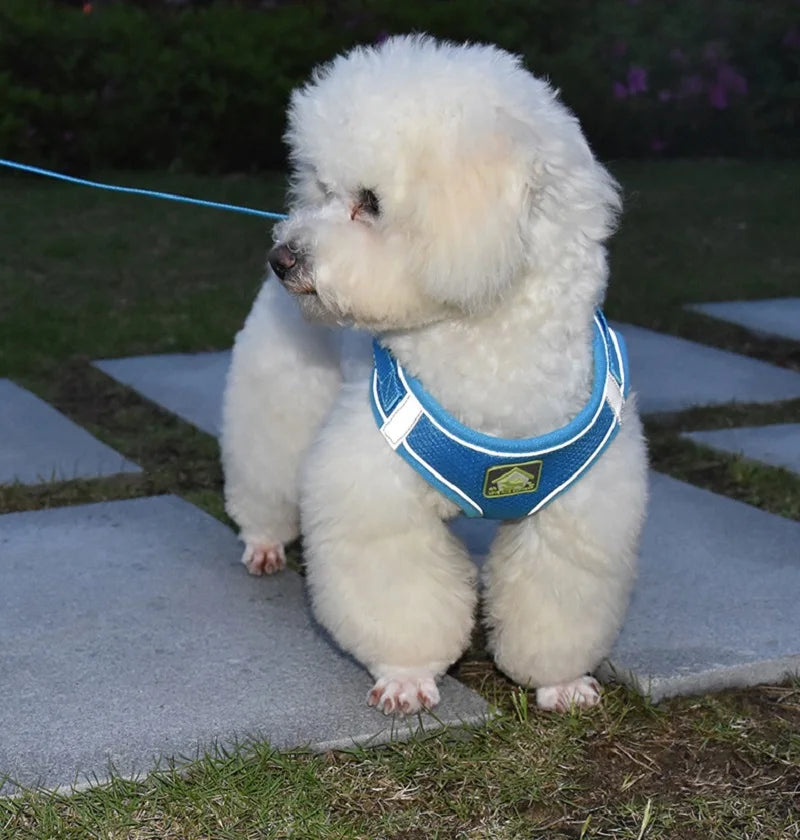 Reflective Pet Harness And Leash Set For Dog & Cat