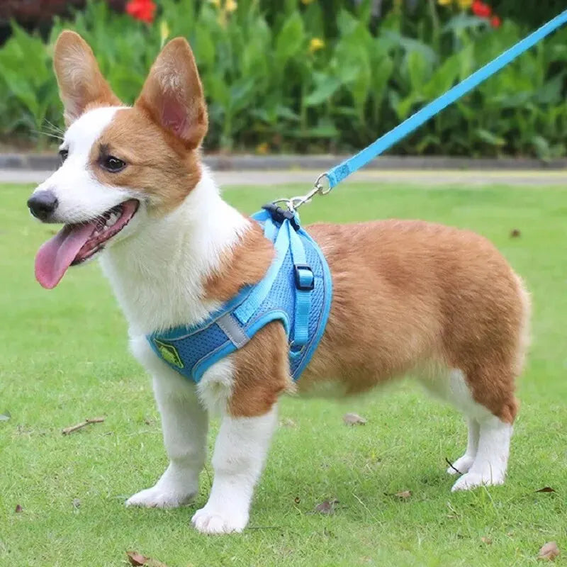 Reflective Pet Harness And Leash Set For Dog & Cat