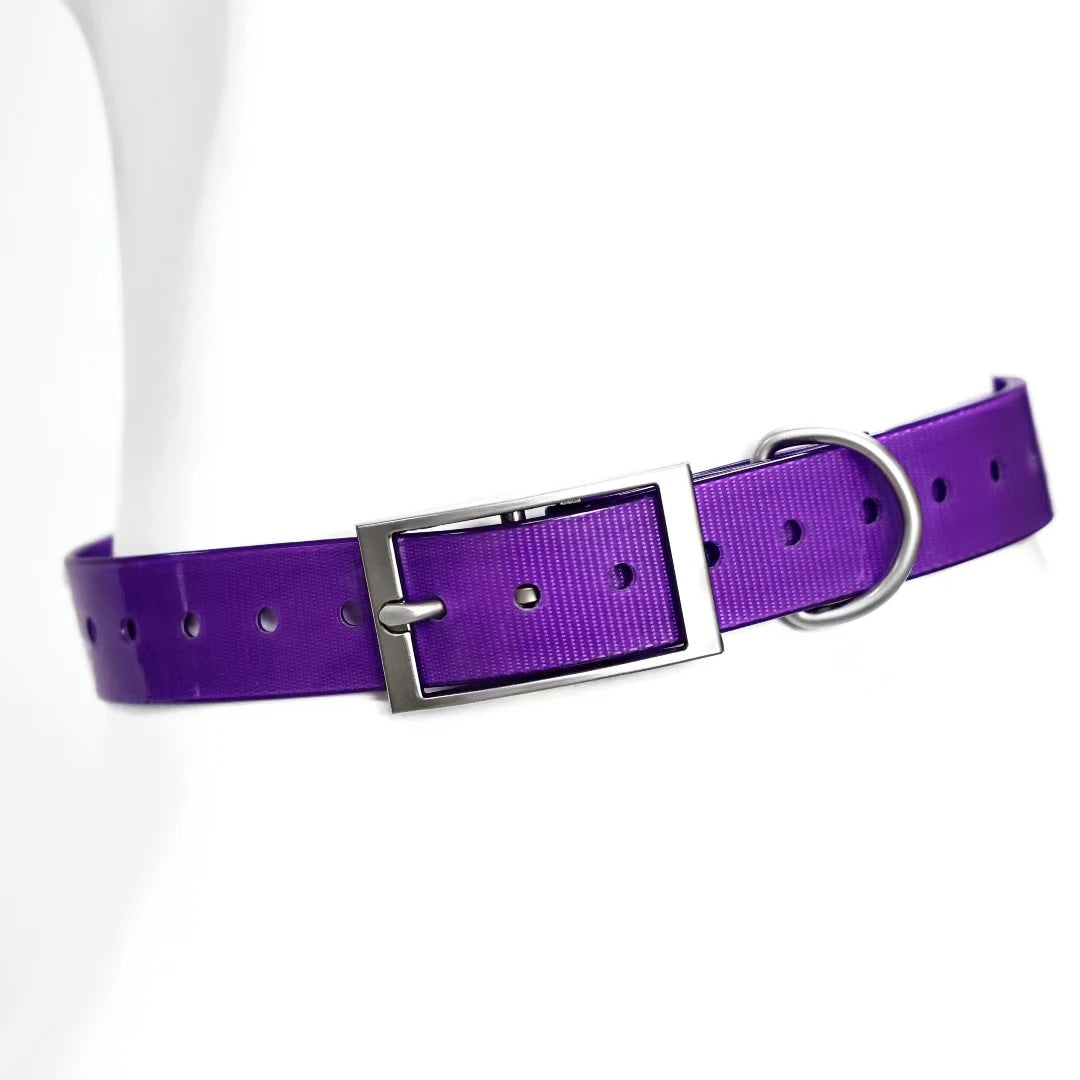 2.5cm Wide Heavy Duty TPU Dog Collar