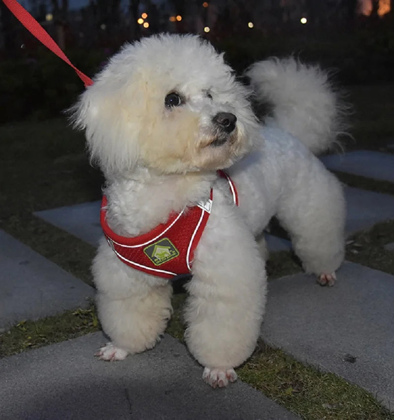 Reflective Pet Harness And Leash Set For Dog & Cat
