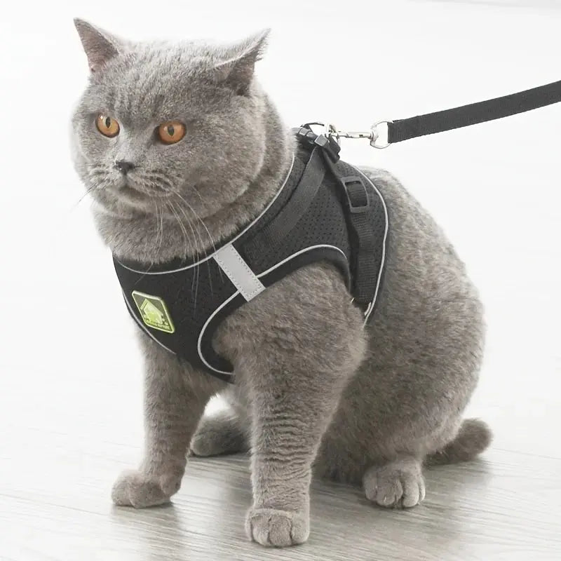 Reflective Pet Harness And Leash Set For Dog & Cat