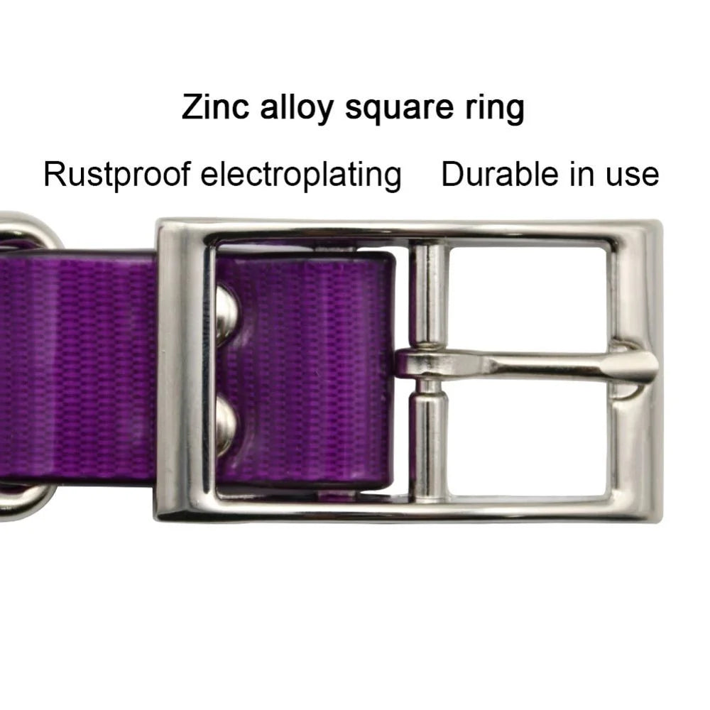 2.5cm Wide Heavy Duty TPU Dog Collar
