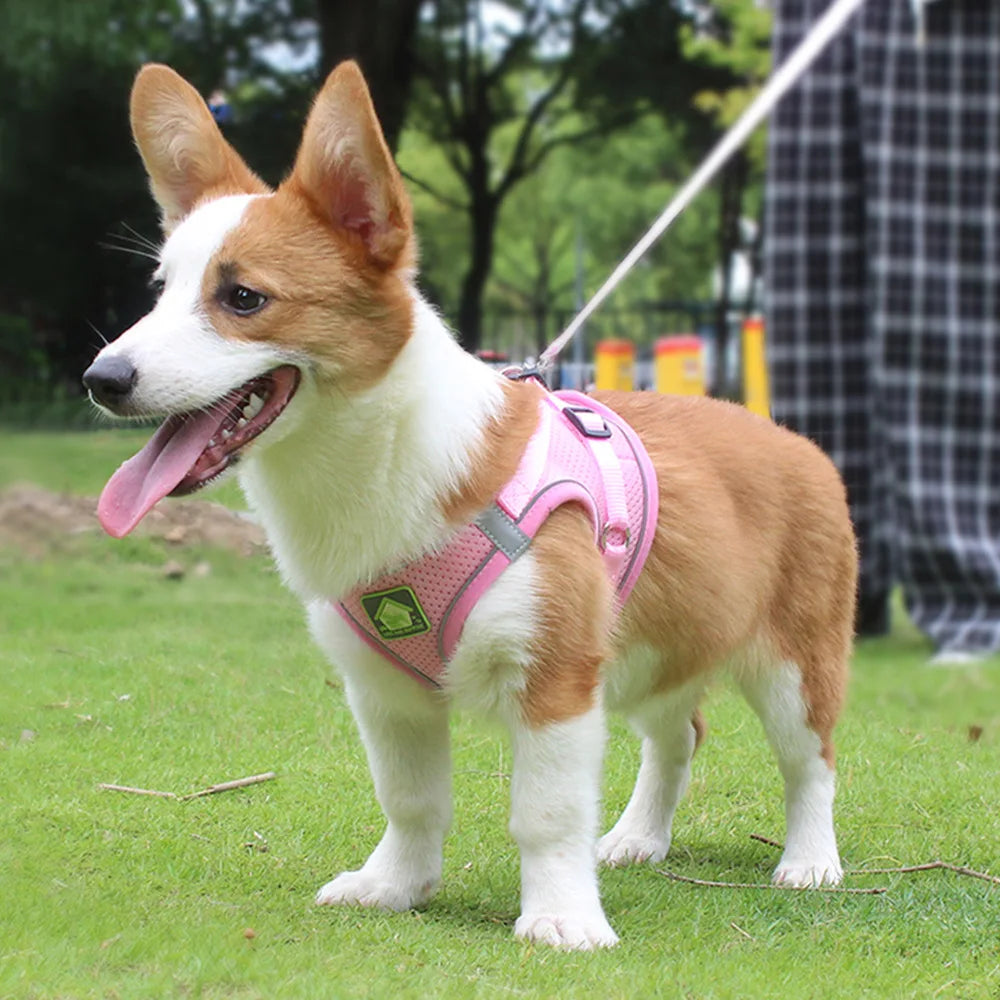 Reflective Pet Harness And Leash Set For Dog & Cat