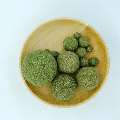 Healthy Cat Catnip