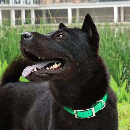 2.5cm Wide Heavy Duty TPU Dog Collar