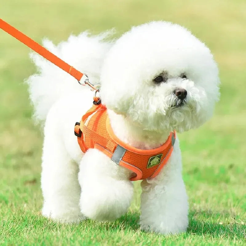 Reflective Pet Harness And Leash Set For Dog & Cat