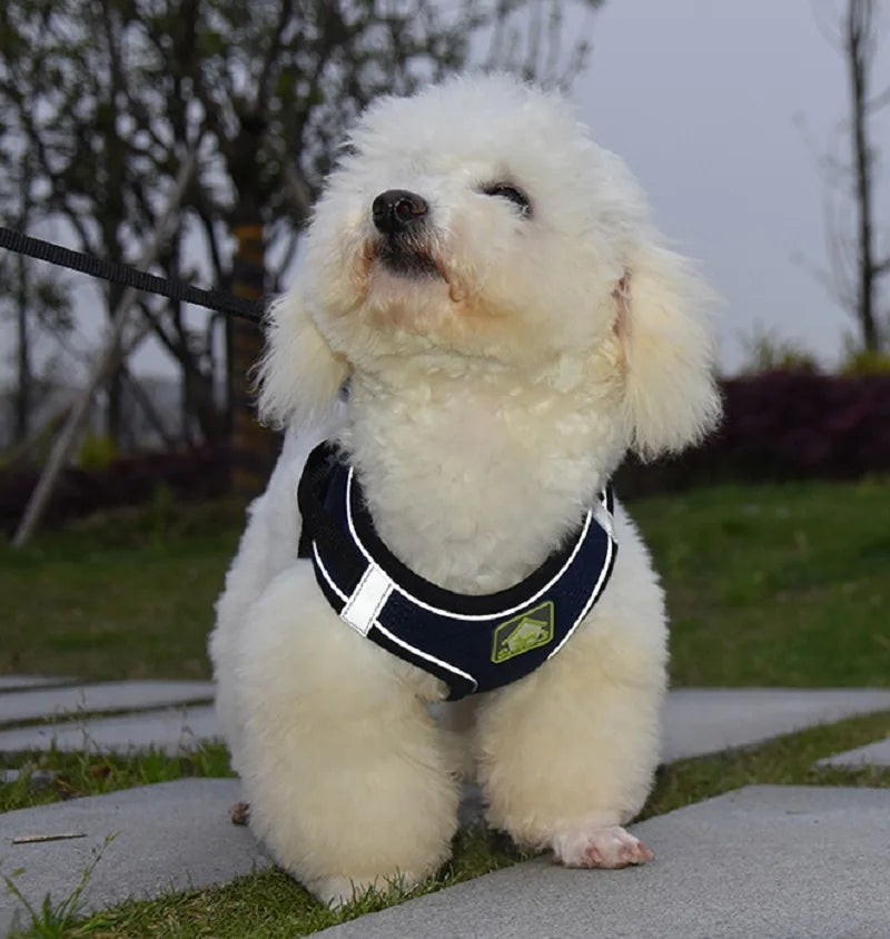 Reflective Pet Harness And Leash Set For Dog & Cat